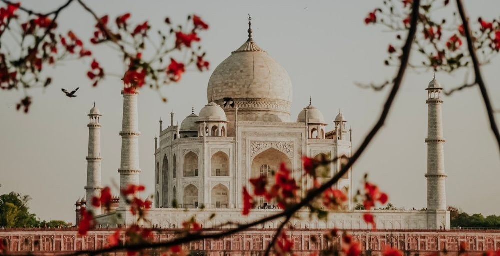 India Matrimony